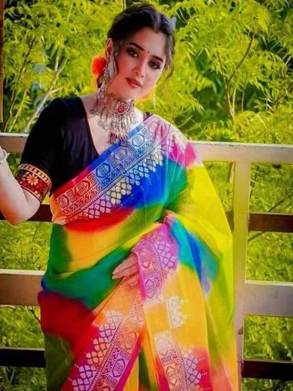 Rainbow Afsan Print Half Silk Saree